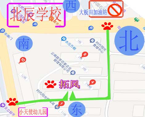 导航地图